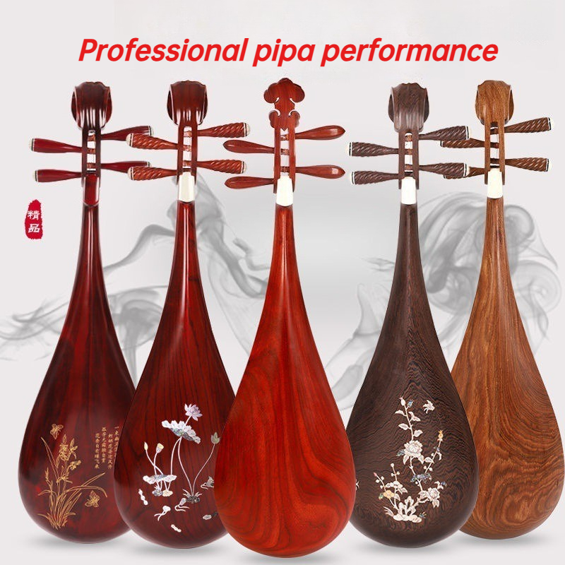 Pipa profesional para adultos  - Musical Instrument Harmonium reseña y precio